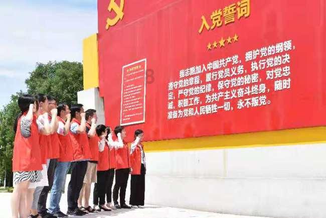 生化危机：浣熊市行动
