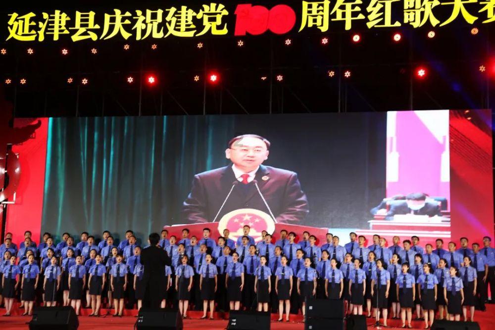 可爱小猫向上跳